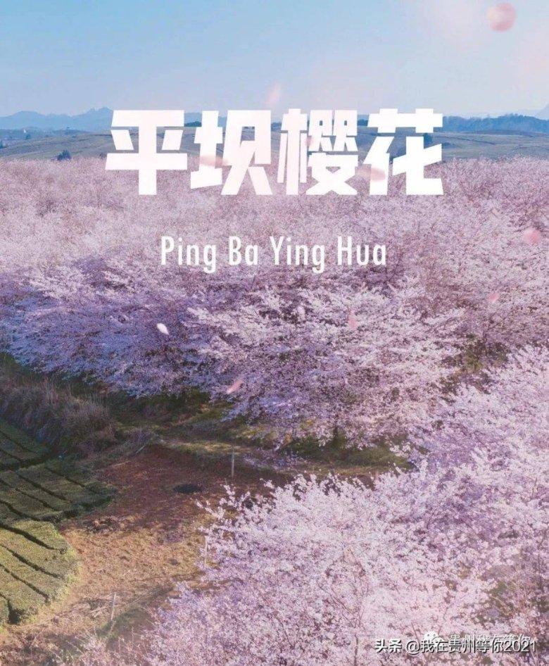 2020年10月7日到2023年7月21有多少天?红迪网-最新热门话题讨论平台